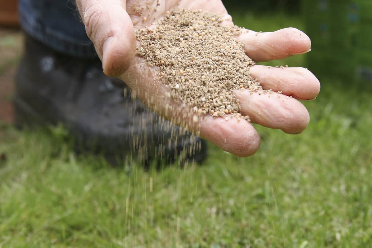 Iemand strooit een handje met mest over het groene gras.