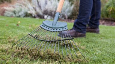 Een hark gaat door het groene gras en neemt dood, bruin materiaal mee.