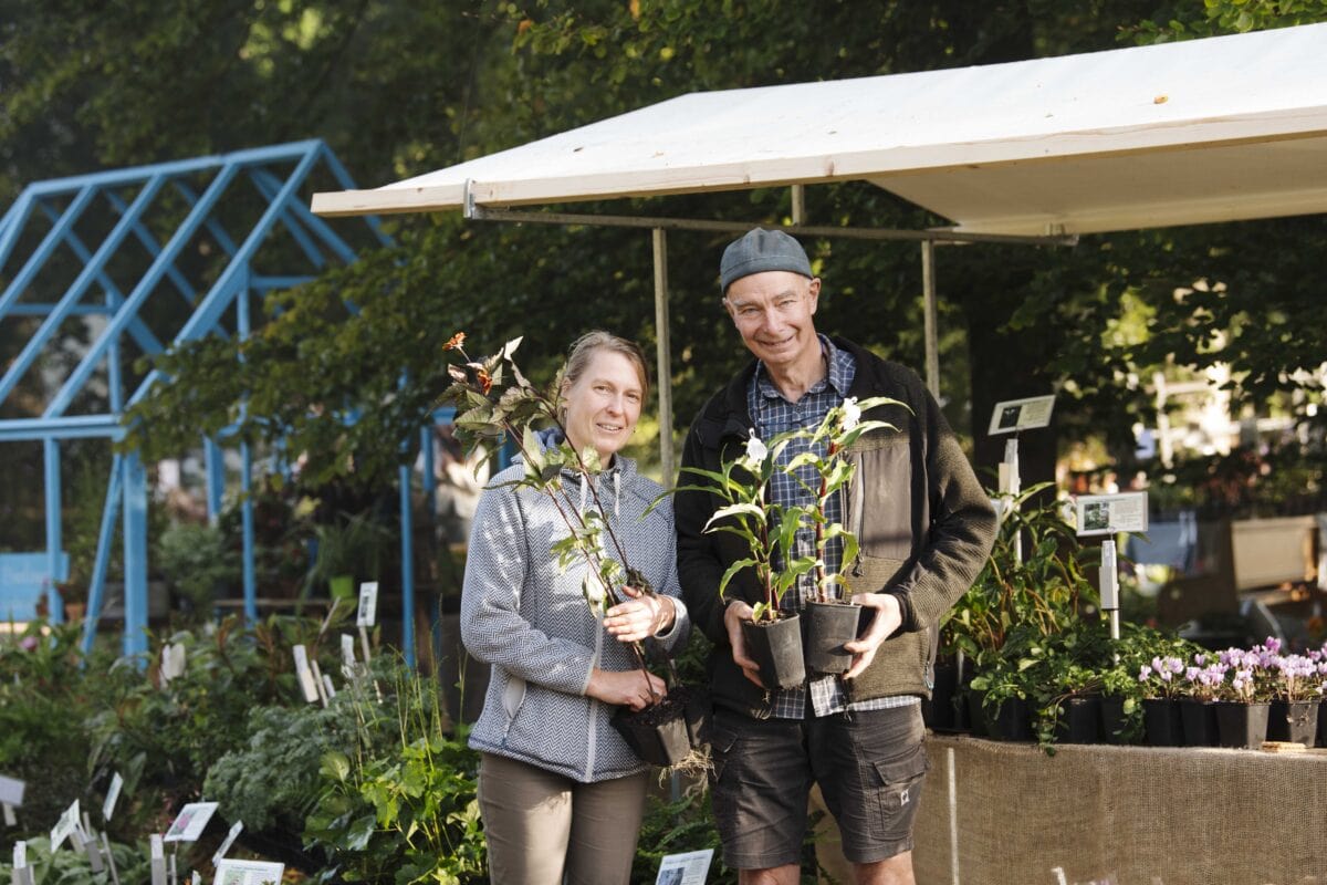 Kwekers met planten op de Ambachtelijke Plantenmarkt