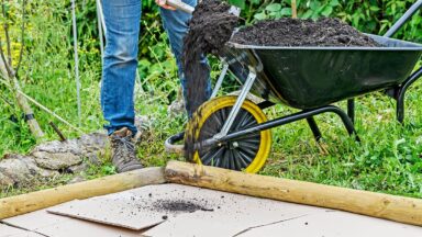 Vrouw schept compost op karton in tuin.
