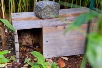 Egel in opening van voederhuis