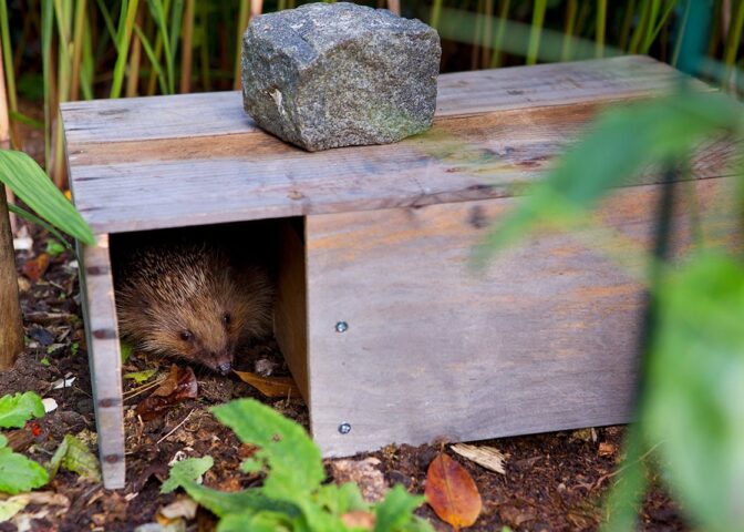 Egel in opening van voederhuis