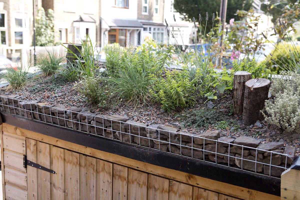 Een kruidentuin gemaakt op een kast in de tuin.