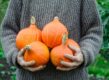 Iemand houdt oranje pompoenen vast in hand