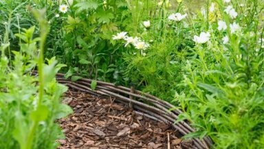 Pad met houten snippers en wilgentenen