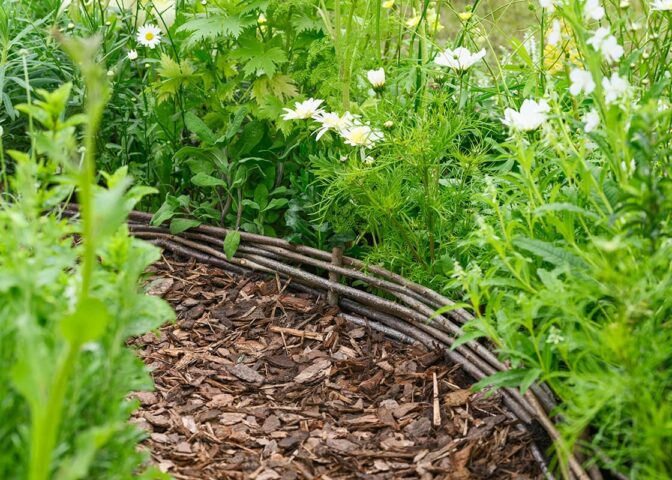 Pad met houten snippers en wilgentenen