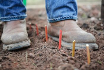 Schoenen op aarde met daartussen houten stengels ingegraven in de grond.