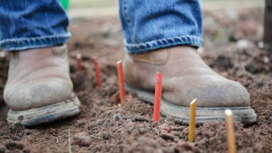 Schoenen op aarde met daartussen houten stengels ingegraven in de grond.