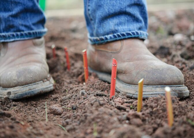 Schoenen op aarde met daartussen houten stengels ingegraven in de grond.