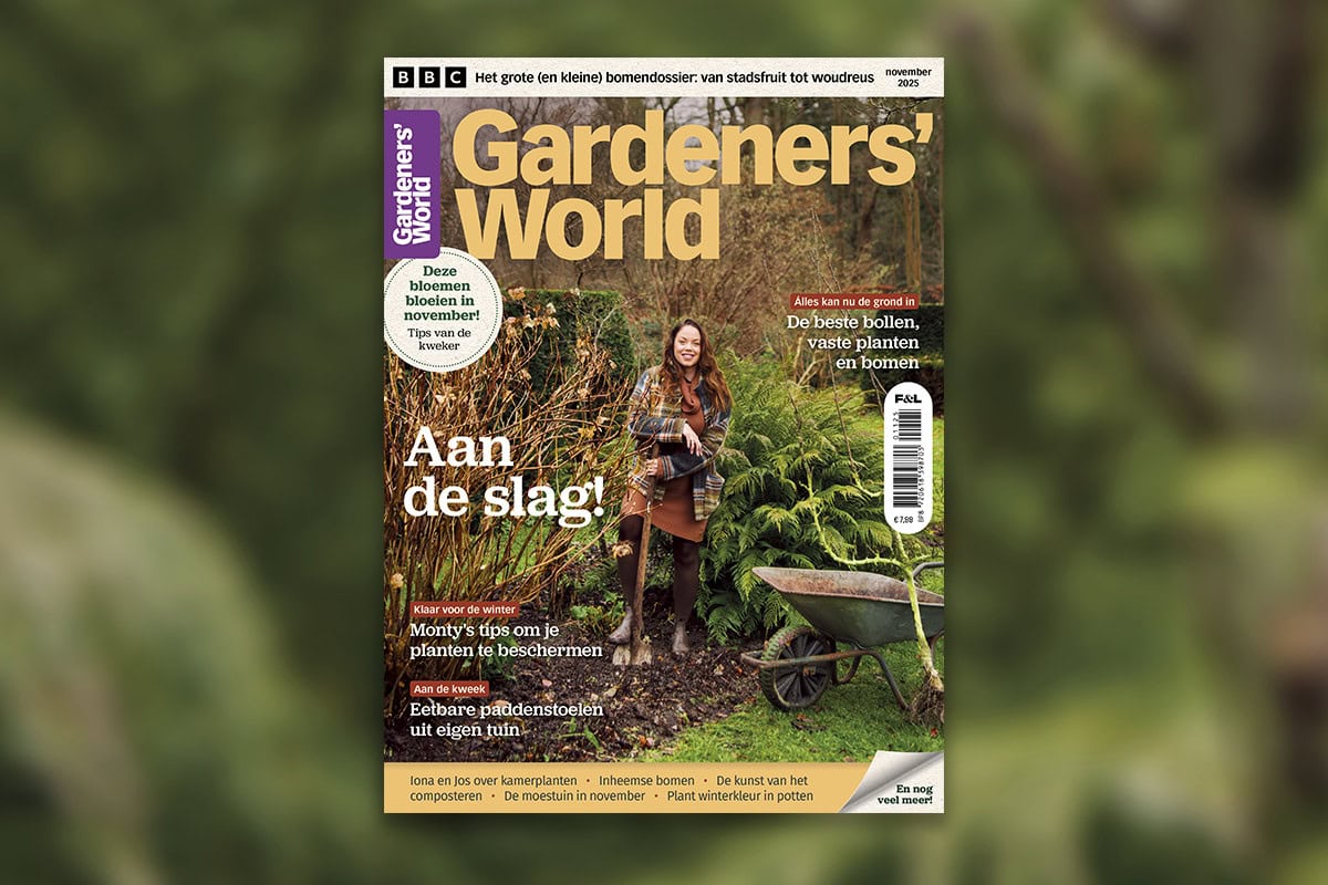 Het novembernummer van Gardeners' World magazine met eindredacteur Anne die een spade vasthoudt naast een kruiwagen en een boompje.