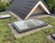 plat groen dak met sedum