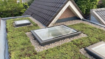 plat groen dak met sedum