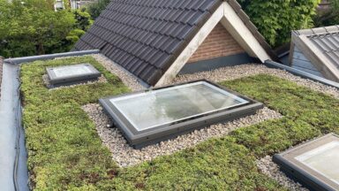 plat groen dak met sedum