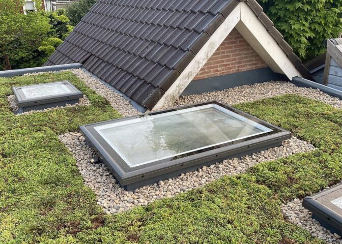 plat groen dak met sedum