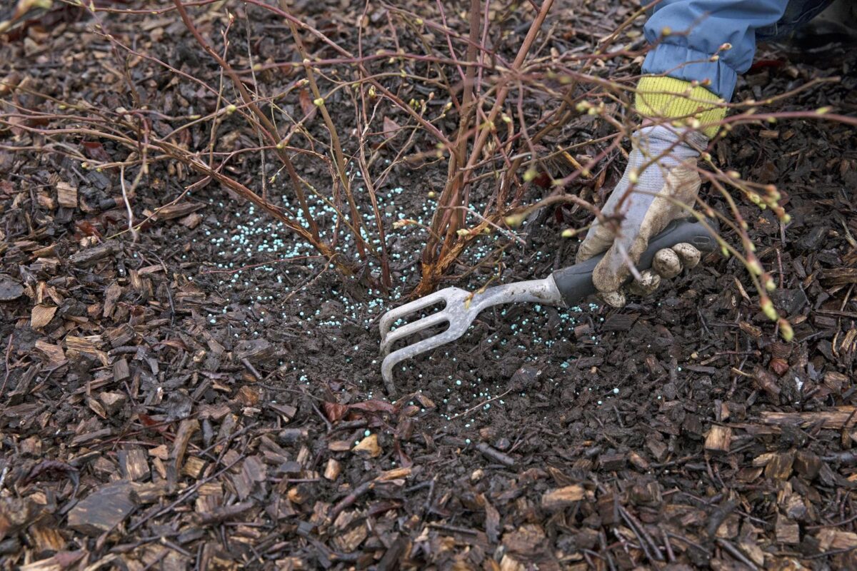 moestuin bemesten met kunstmest