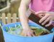 smeerwortelgier maken om planten te bemesten