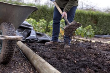 moestuin bemesten met stalmest