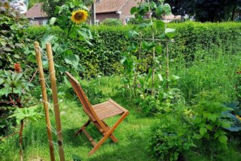 permacultuur moestuin