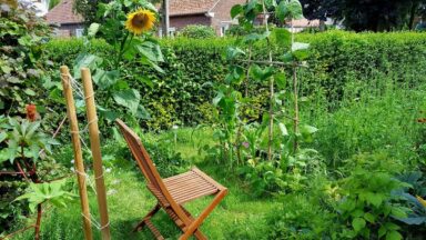 permacultuur moestuin