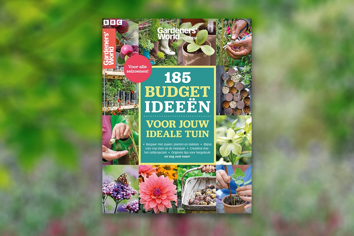 Voorkant van de speciale uitgave 185 budget ideeen voor jouw ideale tuin