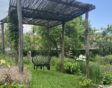 Een houten pergola in de zonnige tuin van Miranda Engels.