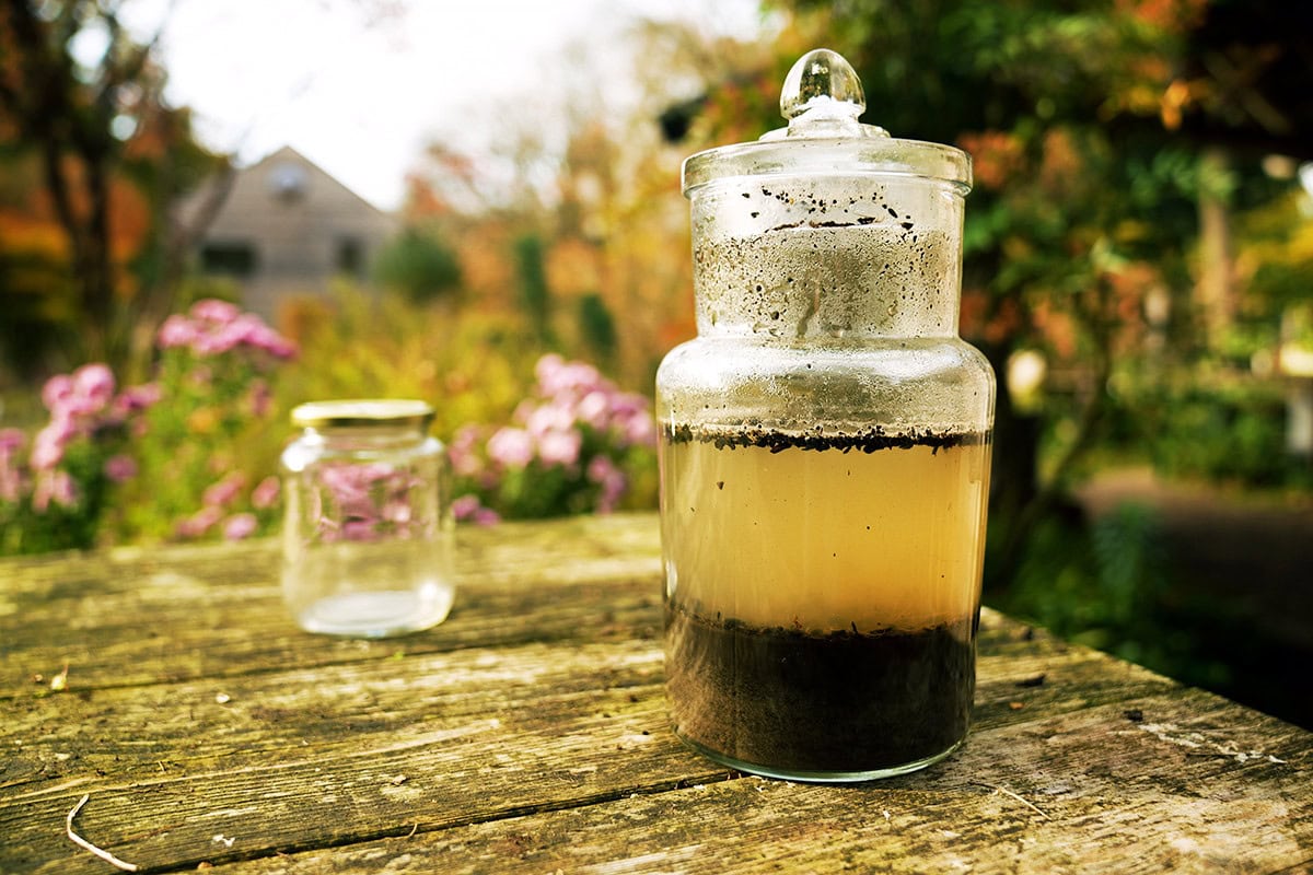 Pot met aarde en water op een tafel
