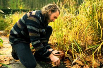 Man voelt met hand aan aarde