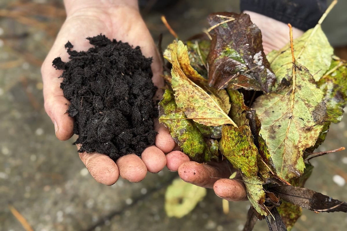 Twee handen met compost en bladeren.