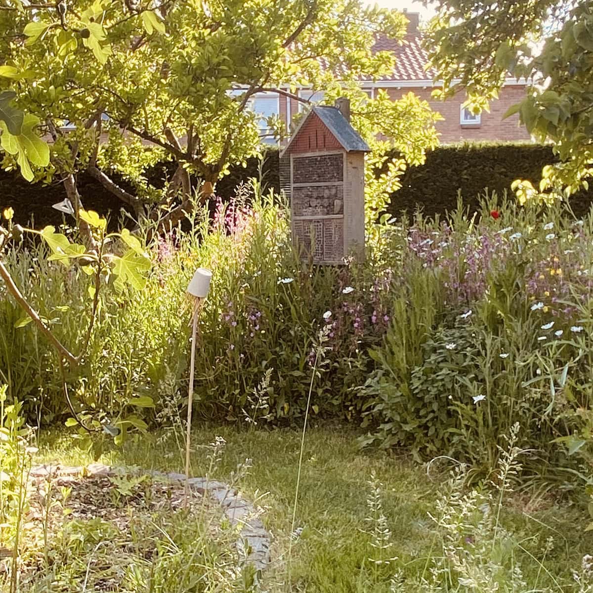 Bloeiende bloemen en een insectenhotel op een bloemenheuvel van Miranda.
