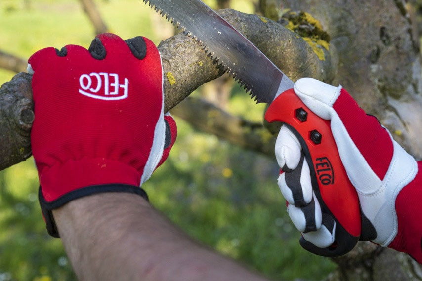 Iemand snoeit een boom met een boomzaag en rood-witte handschoenen