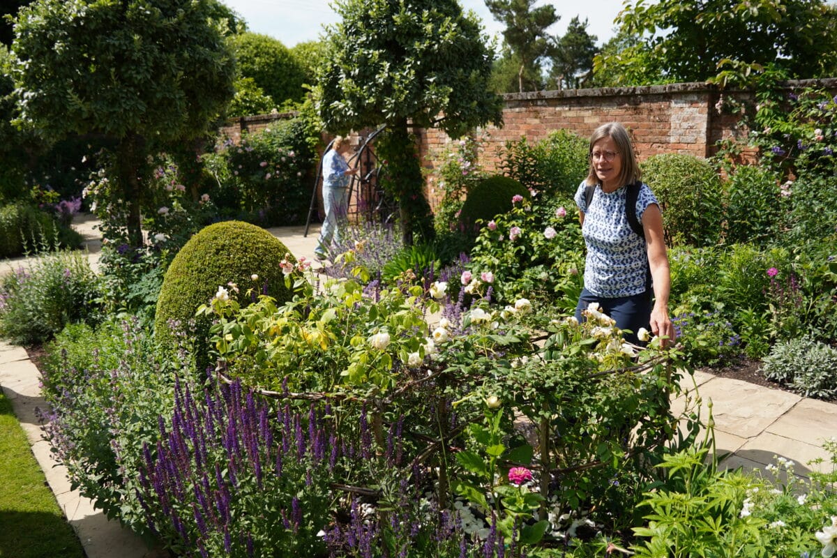 Reiziger Hilda bekijkt rozen en clematis.