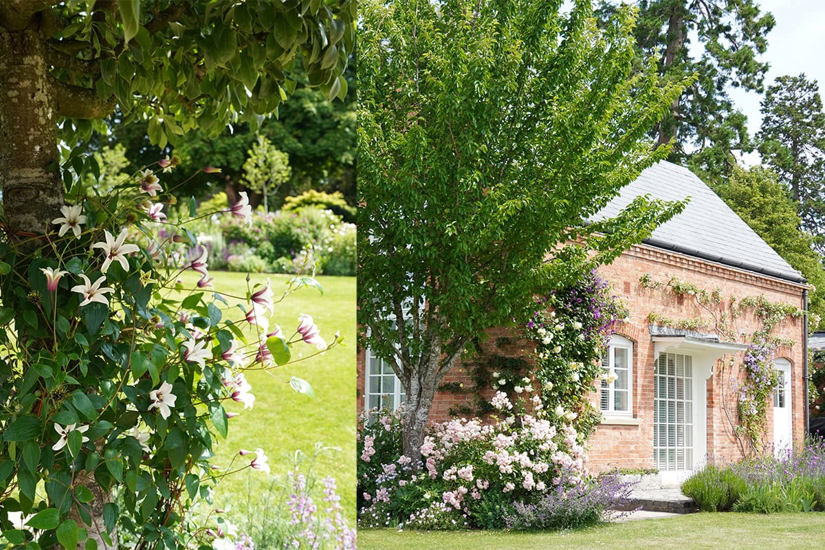 Compilatiefoto van clematis op boom en het koetshuis met tuin bij Morton Hall.