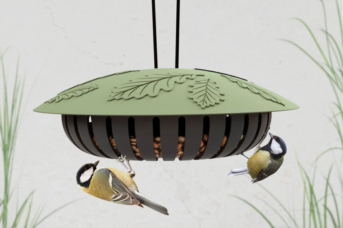 Twee vogels eten uit een pindahouder