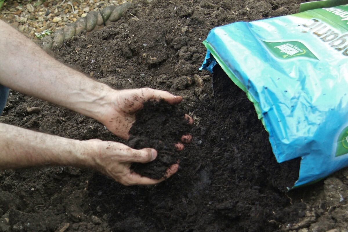 Iemand haalt potgrond uit een zak.