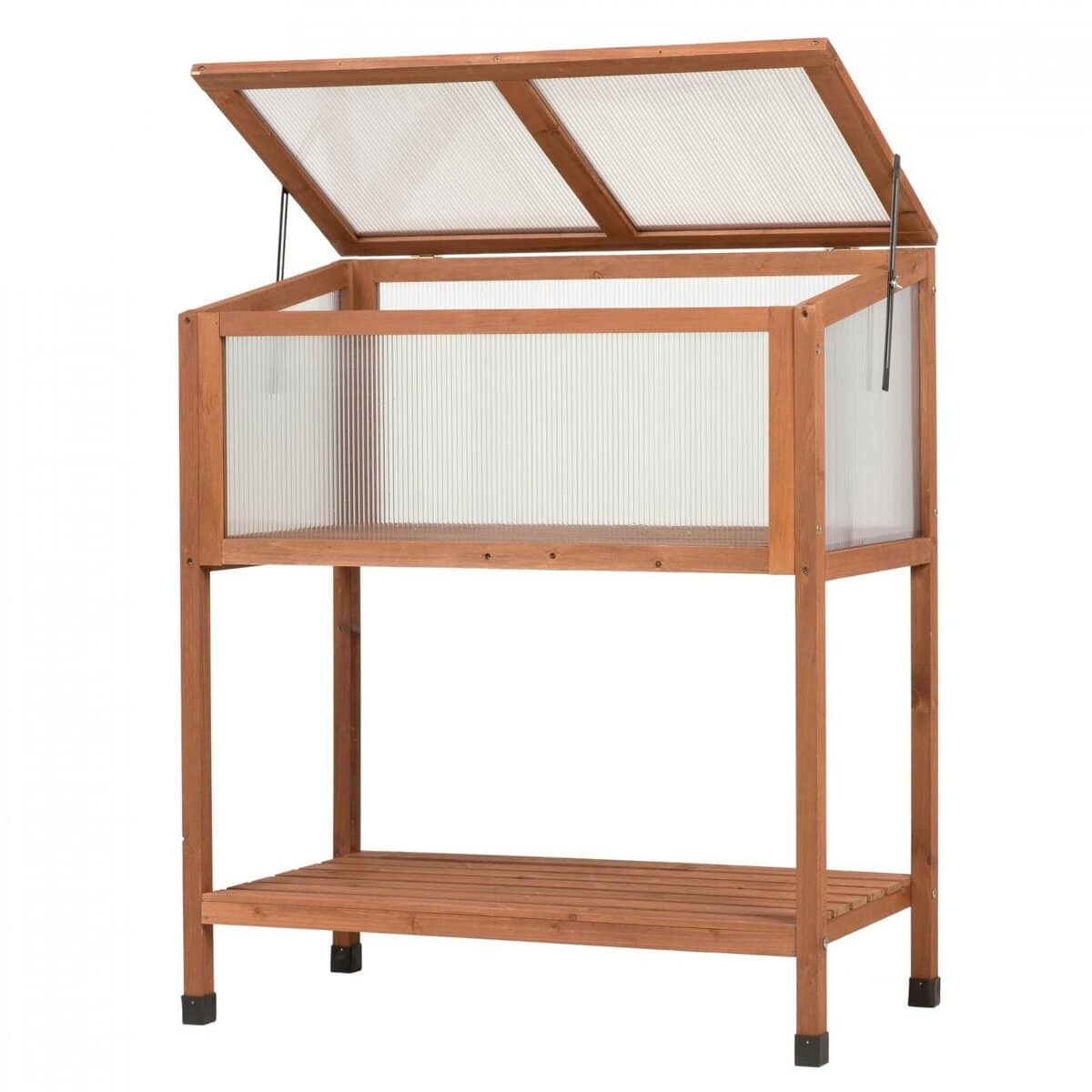 Royal Well ‘Red Leaf’ kweekkas