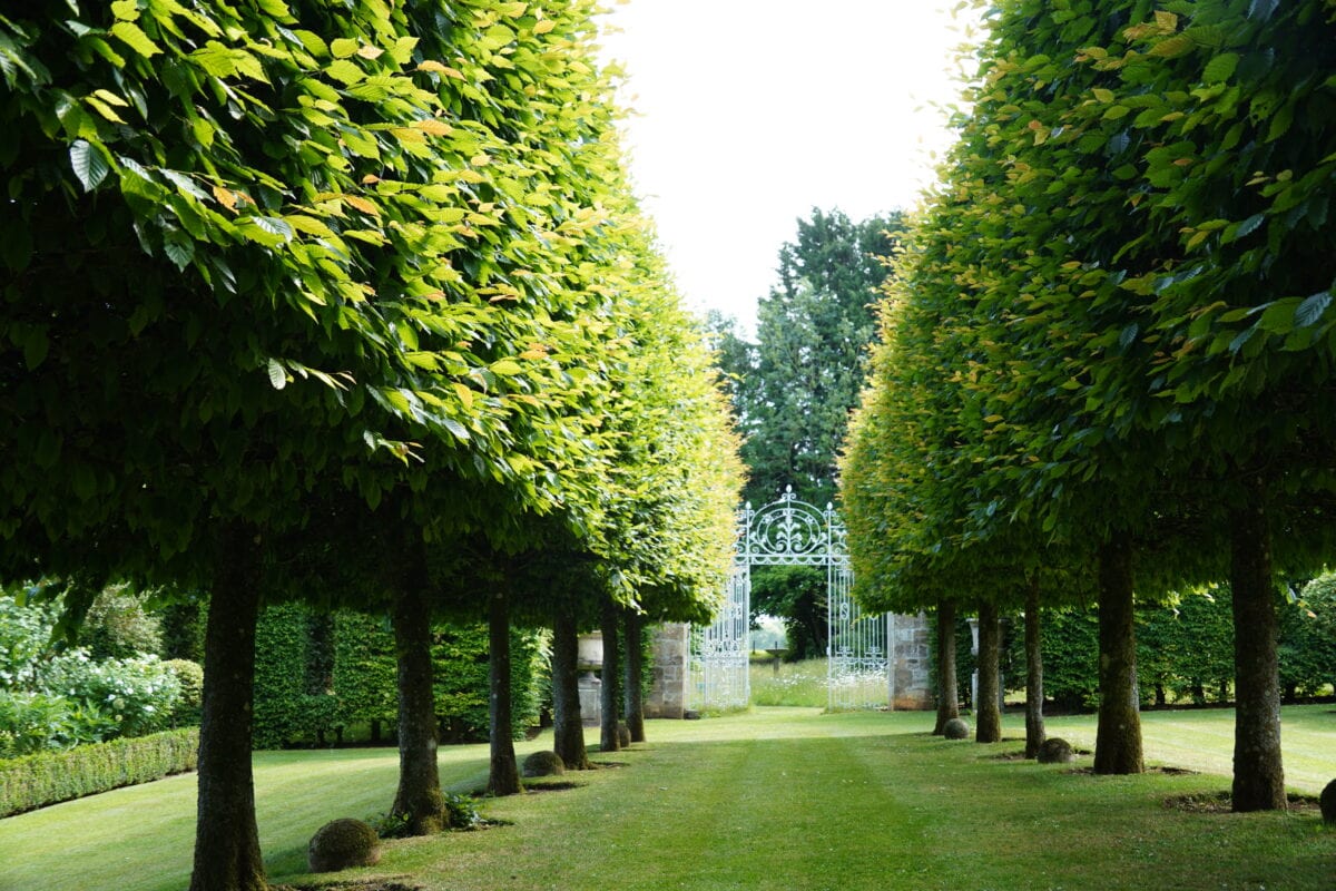 Een bomenrij richting een tuinhek.