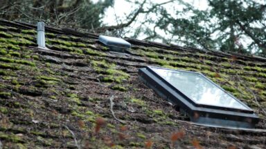 mos van dak verwijderen