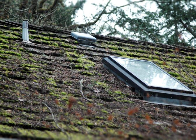 mos van dak verwijderen