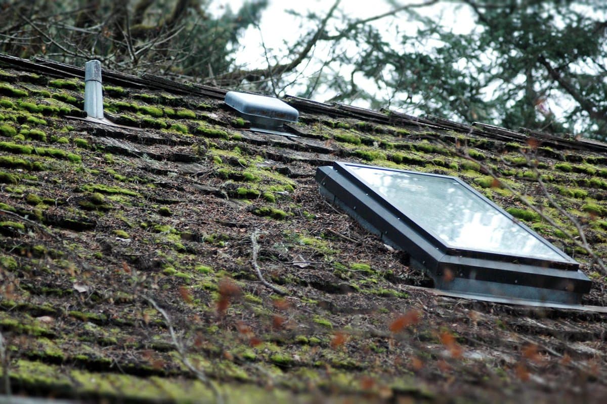 mos van dak verwijderen