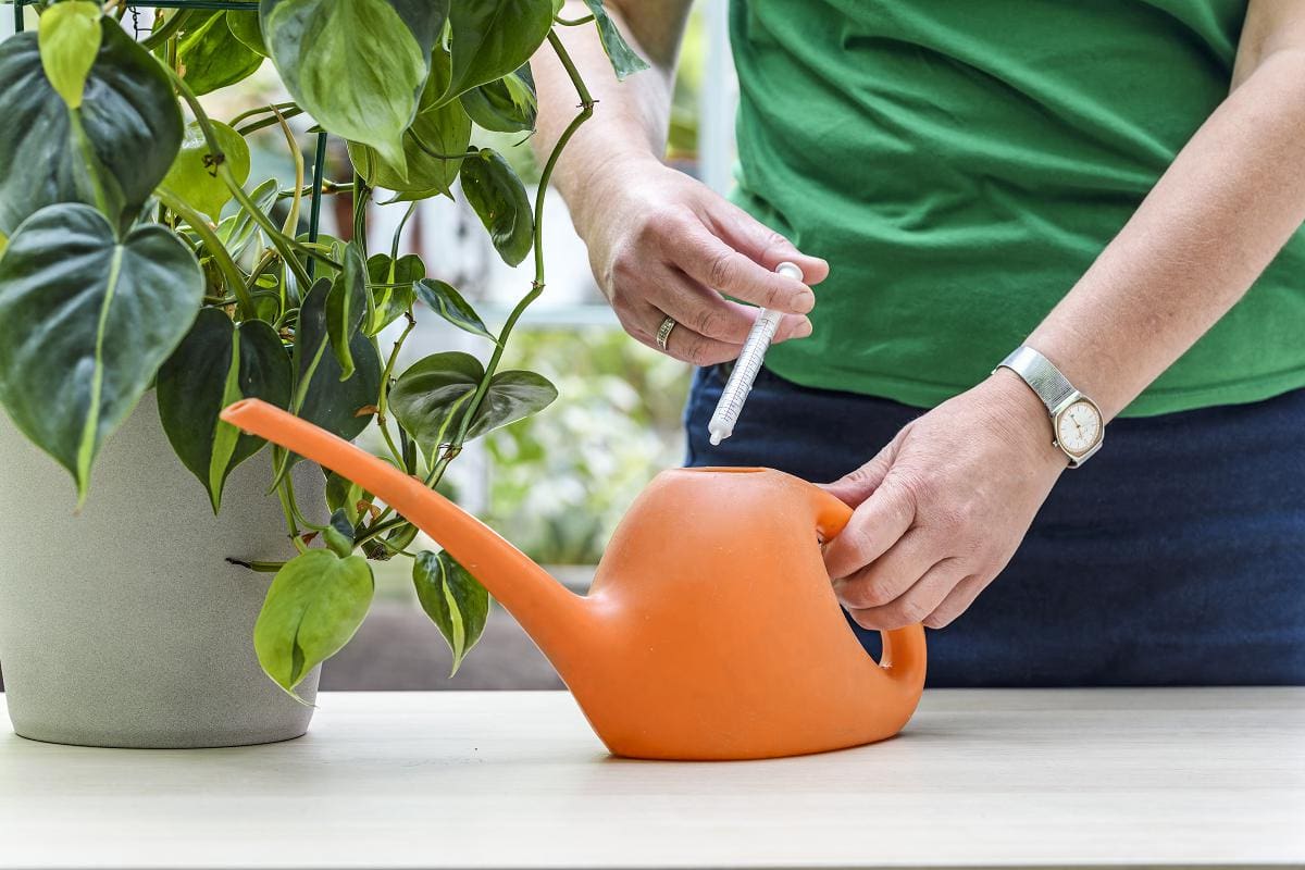 Plantenvoeding afmeten met pipet