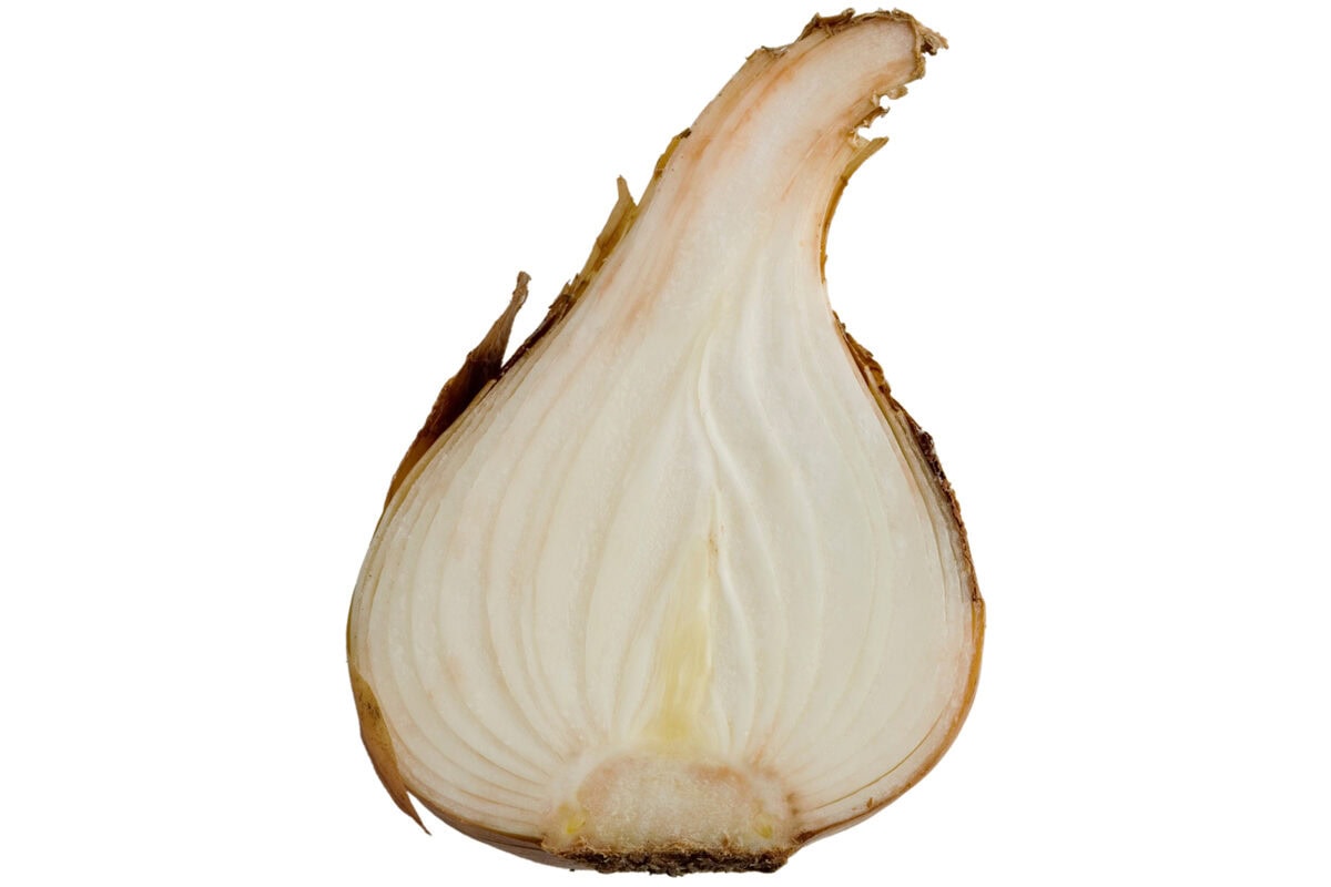 Een bloembol doorgesnelden door de helft, als een ui.