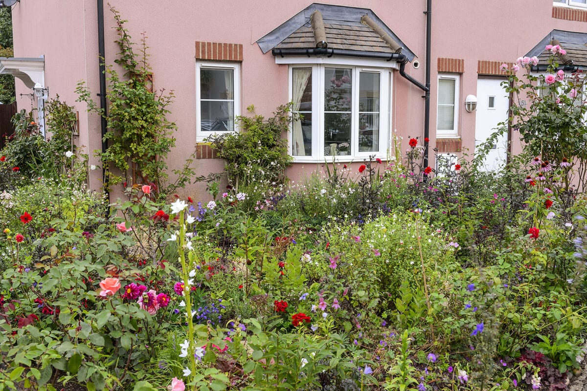 Huis met roze muur met een border in cottage garden stijl.