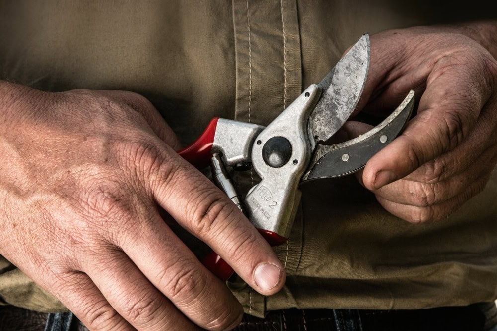 Man met snoeischaar in handen.