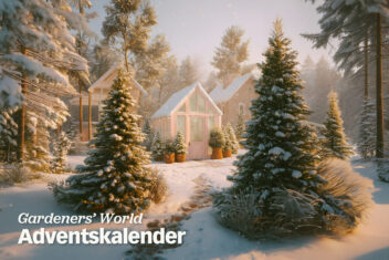 gegenereerd beeld met bomen in de sneeuw met kas.