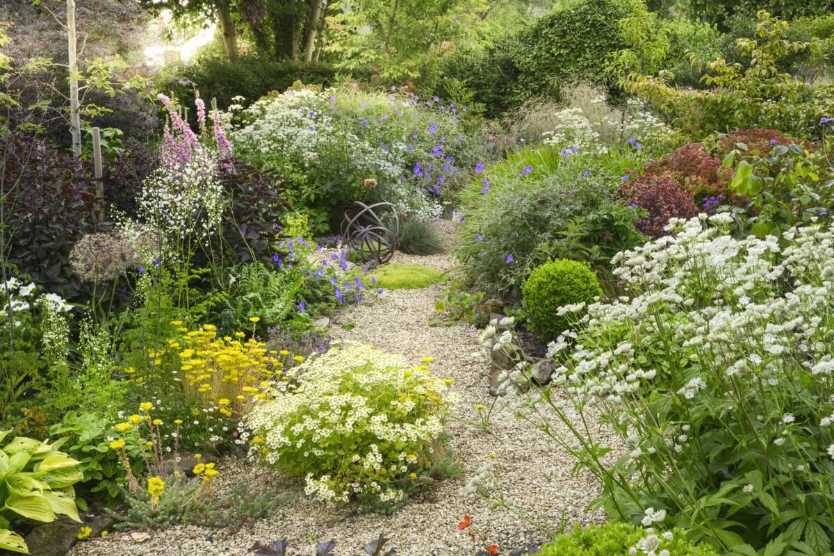 Een grindtuin met bloeiende borders.