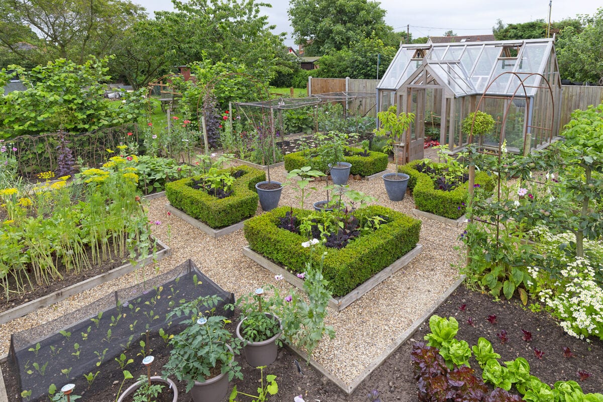 Een grindtuin met eetbare planten, een kas en sierplanten.