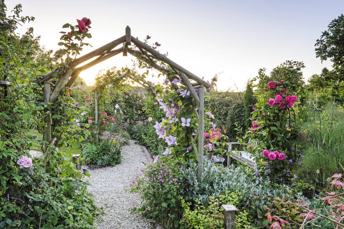Een grindtuin in de zon met bloemen en een houten pergola.