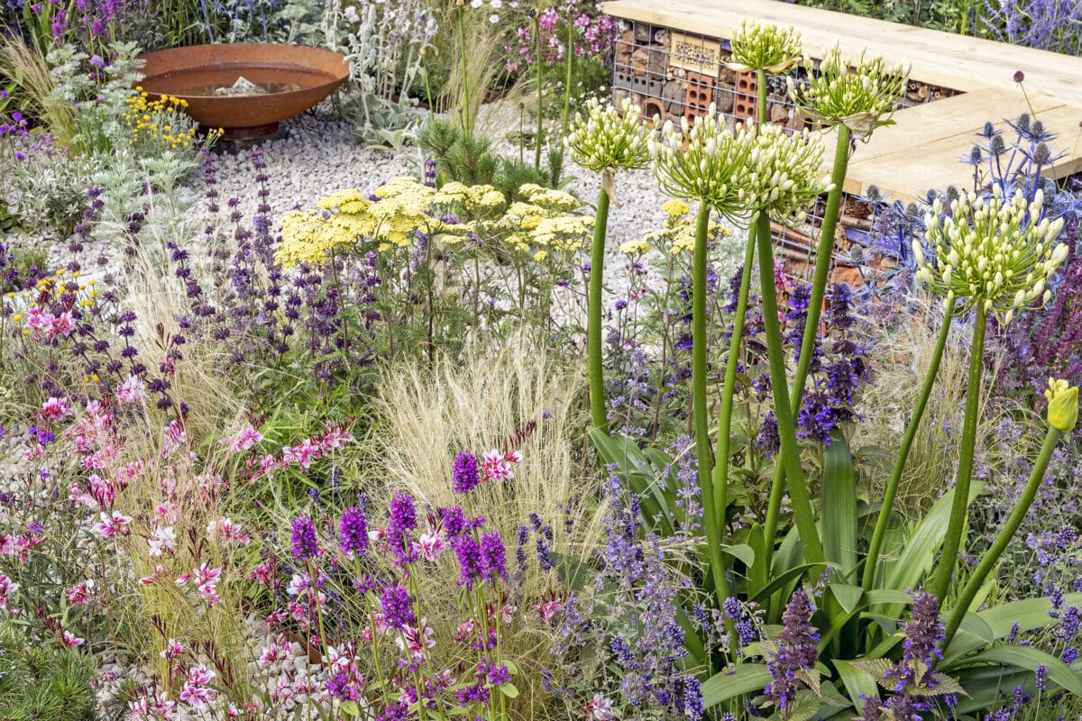 Eigentijds beplanting in een grindtuin