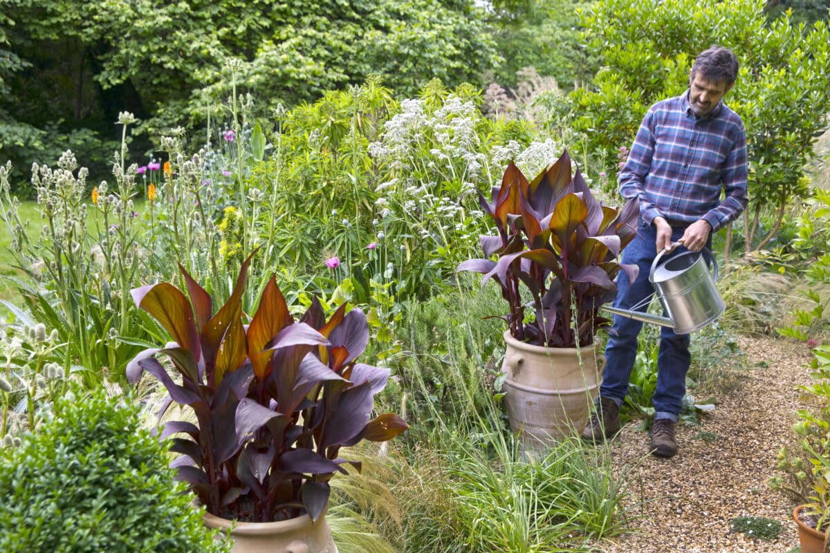 Adam plaatst grote potten in een grindtuin