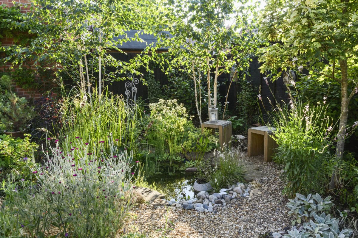 Grindtuin met allerlei planten en een vijver.